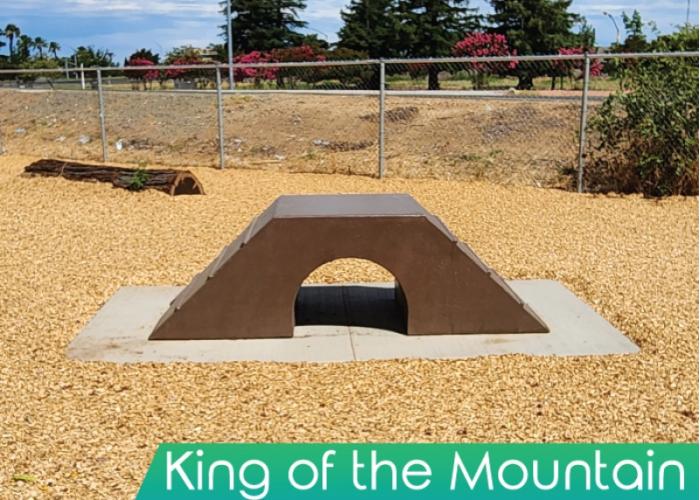 King of the Mountain