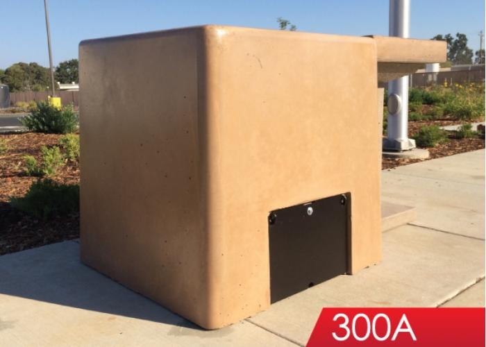 300A - Family BBQ